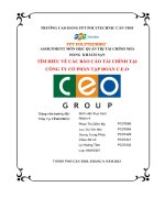 tiểu luận tìm hiểu về các báo cáo tài chính tại công ty cổ phần tập đoàn c e o