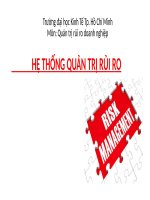 Tiểu luận - QUẢN TRỊ RỦI RO DOANH NGHIỆP - đề tài -  HỆ THỐNG QUẢN TRỊ RỦI RO
