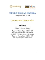 tiến độ báo cáo mkt328m tocotoco thạch hòa