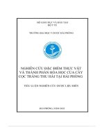 nghiên cứu đặc điểm thực vật và thành phần hóa học của cây cọc trắng thu hái tại hải phòng tiểu luận nghiên cứu dược liệu biển