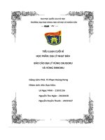 tiểu luận cuối kì báo cáo địa lý vùng chugoku và vùng shikoku