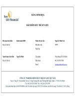 BẢNG MINH HỌA BẢO HIỂM HƯU TRÍ SUN LIFE