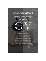 tiểu luận tổng quan về dự án thương hiệu thời trang dành cho giới trẻ genz vogue