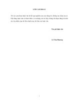 Luận văn thạc sĩ Quản lý Kinh tế: Một số giải pháp tăng cường công tác quản lý khai thác hệ thống thủy lợi Bắc Vàm Nao tỉnh An Giang