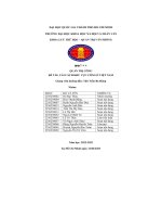 quản trị công đề tài cải cách khu vực công ở việt nam