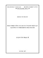 Luận văn thạc sĩ Quản lý Kinh tế: Hoàn thiện công tác quản lý nguồn nhân lực tại Công ty TNHH Shints Thái Nguyên