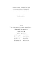 Email Marketing Xây Dựng Chiến Dịch Và Triển Khai Kế Hoạch Email Marketing Cho Vento.pdf