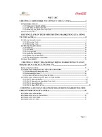 tiểu luận thực trạng hoạt độngmarketing của sản phẩm coca cola củacông ty