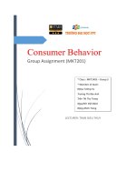Consumer Behavior Group Assignment (Mkt201).Pdf