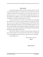 Luận văn thạc sĩ Xây dựng công trình thủy: Nghiên cứu ổn định mái hạ lưu đê biển khi có sóng và triều cường tràn qua với giải pháp khắc phục bằng cỏ có gia cố