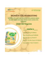 tiểu luận nghiên cứu mức độ hải lòng của khách hàng về sản phẩm sữa đậu nành fami canxi của vinasoy