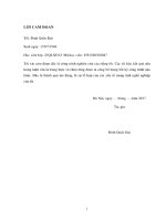 Luận văn thạc sĩ Quản lý xây dựng: Nghiên cứu áp dụng kĩ thuật EARNED VALUE MANAGEMENT (EVM) trong công tác quản lí tiến độ thi công dự án: 