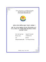 báo cáo môn học thực hành 1 hoạt động quản trị nhân lực của công ty tnhh môi trường công nghiệp xanh