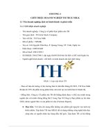 tiểu luận giới thiệu doanh nghiệp th true milk