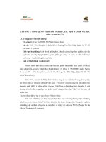 tiểu luận tổng quan về doanh nghiệp công ty tnhh mỹ phẩm nature story