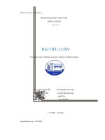 tiểu luận an toàn vận hành ô tô