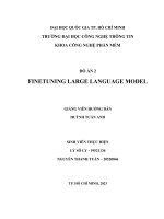 đồ án 2 finetuning large language model