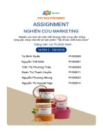 tiểu luận nghiên cứu mức độ nhận biết thương hiệu trong việc chống hàng giả hàng nhái đối với sản phẩm tẩy tế bào chết body dove