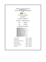 tiểu luận assignment content marketing thương hiệu pj jewelry