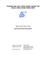 Báo Cáo Thực Tập Java Back-End Developer.docx