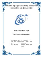 servicenow developer báo cáo thực tập