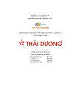tiểu luận chiến lược marketing hỗn hợp của công ty cổ phần sao thái dương