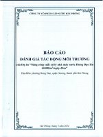 báo cáo đánh giá tác động môi trường của dự án nâng công suất xử lý nhà máy nước hưng đạo lên 60 000 m3ngày
