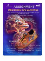 tiểu luận nhiên cứu mức độ hài lòng của khách hàng đối với dòngsản phẩm bitis hunter