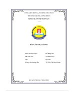 báo cáo thực hành 1 công ty cổ phần viglacera hạ long