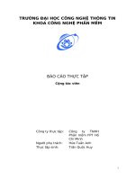 báo cáo thực tập cộng tác viên