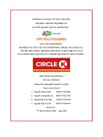 tiểu luận nghiên cứu các yếu tố ảnh hưởng tới sự hài lòng của người tiêu dùng trẻ đối với chất lượng dịch vụ tại cửa hàng tiện lợi circle k thuộc địa bàn tp hồ chí minh