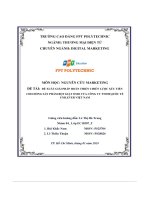 tiểu luận đề xuất giải pháp hoàn thiện chiến lược xúc tiếncho dòng sản phẩm bột giặt omo của công ty tnhh quốc tếunilever việt nam