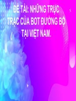 Tiểu luận - kinh tế công cộng - đề tài - NHỮNG TRỤC TRẶC CỦA BOT ĐƯỜNG BỘ TẠI VIỆT NAM