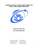 báo cáo thực tập java web developer