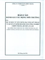 báo cáo đánh giá tác động môi trường dự án đầu tư xây dựng hạ tầng kỹ thuật và quản lý kinh doanh cụm công nghiệp chiến thắng huyện an lão của công ty tnhh ô tô chiến thắng