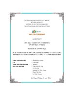 tiểu luận nghiên cứu sự hài lòng của khách hàng về chất lượngsản phẩm yến sào sanvinest của công ty yến sào khánh hòa