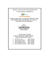 tiểu luận đánh giá hiệu quả của chương trình xúc tiếncho thương hiệu strongbow của công tytnhh nhà máy bia heineken