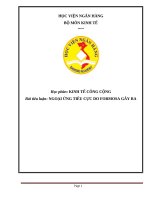 Tiểu luận - kinh tế công cộng - đề tài - NGOẠI ỨNG DO FORMOSA GÂY RA