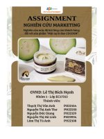 tiểu luận nghiên cứu marketing nghiên cứu mức độ hài lòng của khách hàng đối với sản phẩm mặt nạ bí đao cocoon