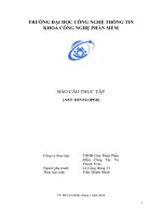 báo cáo thực tập net developer