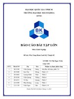 BÁO CÁO BÀI TẬP LỚN Môn Khởi Nghiệp Đề tài Nền Tảng Đám Cưới Kỹ Thuật Số