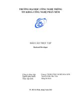 báo cáo backend developer