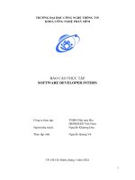 báo cáo thực tập software developer intern
