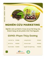tiểu luận nghiên cứu sự hành vi mua và sự hài lòng của khách hàng về sản phẩm chè thái nguyên