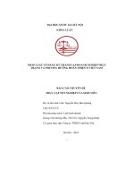 pháp luật về đăng ký thành lập doanh nghiệp thực trạng và phương hướng hoàn thiện việt nam