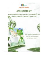 tiểu luận nghiên cứu mức độ hài lòng của khách hàng đổi với sản phẩm sữa chưa vinamilk vị nha đam