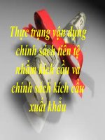 Tiểu luận - kinh tế công cộng - đề tài - Thực trạng vận dụng chính sách tiền tệ nhằm kích cầu và chính sách kích cầu xuất khẩu

