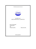 bài tiểu luận kinh tế môi trường và chính sách 2