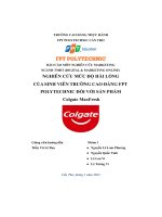 tiểu luận nghiên cứu mức độ hài lòngcủa sinh viên trường cao đẳng fptpolytechnic đối với sản phẩm colgate maxfresh
