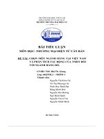 đề tài chọn mô tả ngành hàng tại việt nam và phân tích tác động của tmdt đối với ngành hàng đó